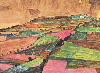 Field Landscape